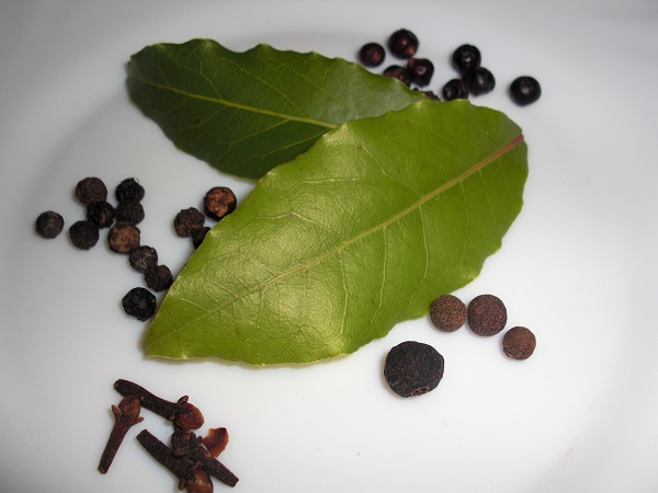 Abbildung Gewürze: Lorbeerblätter, Nelken, Piment, Wacholderbeeren und Pfefferkörner auf weißem Teller