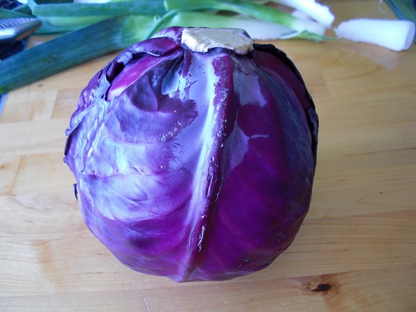 Rotkohlkopf