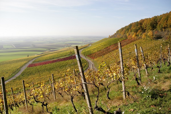 Fränkisches Weinland