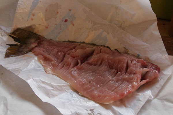 Foto geschröpftes Karpfenfilet auf weeißem Packpapier