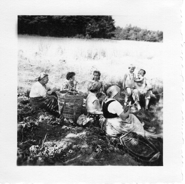 schwarz weiß Foto von 1958 Familie mit Tracht bei der Feldarbeit in Franken