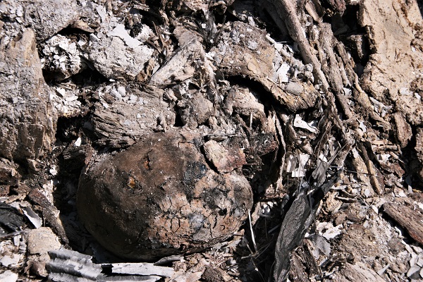 Kartoffeln in der Glut eines Holzfeuers